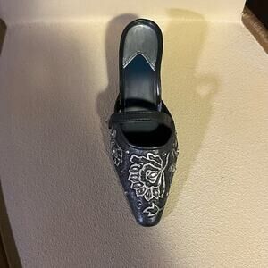 Just the Right Shoe Shimmering Night